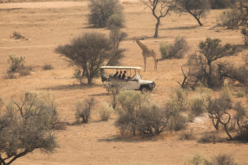 Nebula Adventure Tours
